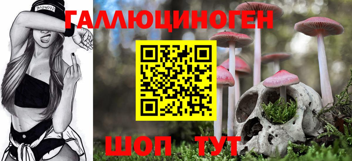 Ангарск  Галлюциногенные грибы мухоморы  закладка  Вход с VPN 